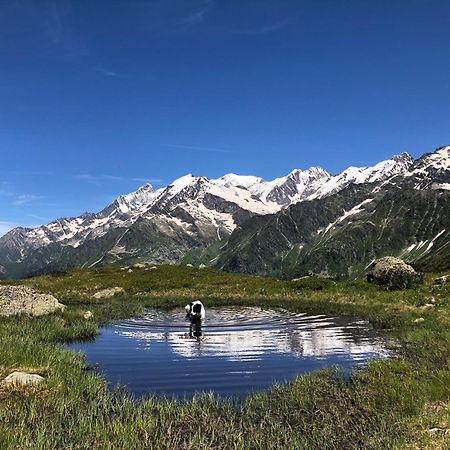 Chalet Riviere Du Bon Nant Location De 6 A 14 Personnes En Haute Savoie Saint-Gervais-les-Bains Ngoại thất bức ảnh