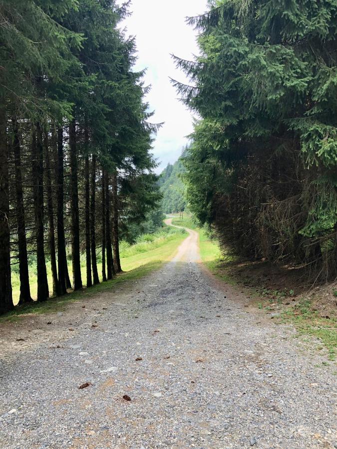 Chalet Riviere Du Bon Nant Location De 6 A 14 Personnes En Haute Savoie Saint-Gervais-les-Bains Ngoại thất bức ảnh