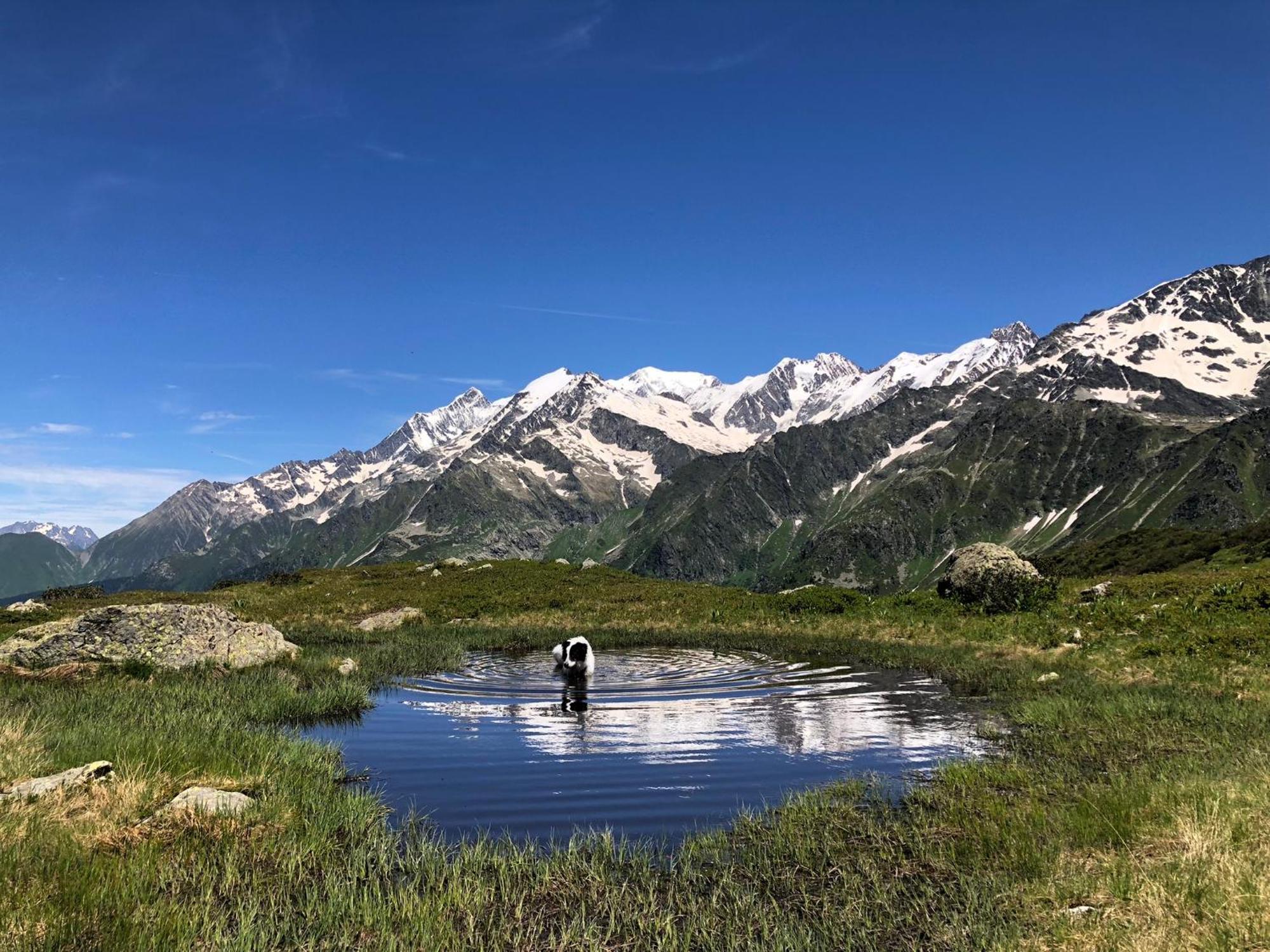 Chalet Riviere Du Bon Nant Location De 6 A 14 Personnes En Haute Savoie Saint-Gervais-les-Bains Ngoại thất bức ảnh
