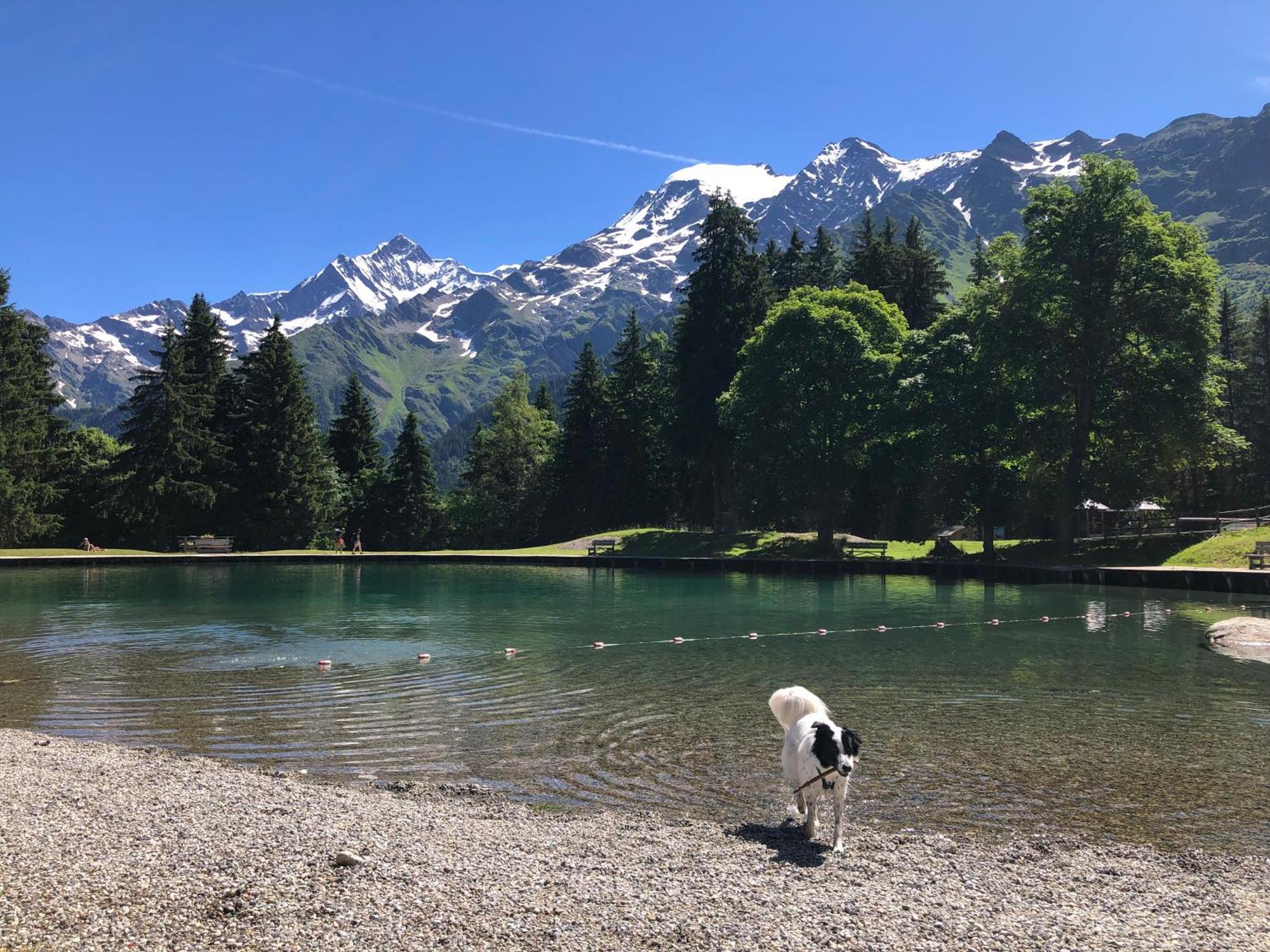 Chalet Riviere Du Bon Nant Location De 6 A 14 Personnes En Haute Savoie Saint-Gervais-les-Bains Ngoại thất bức ảnh