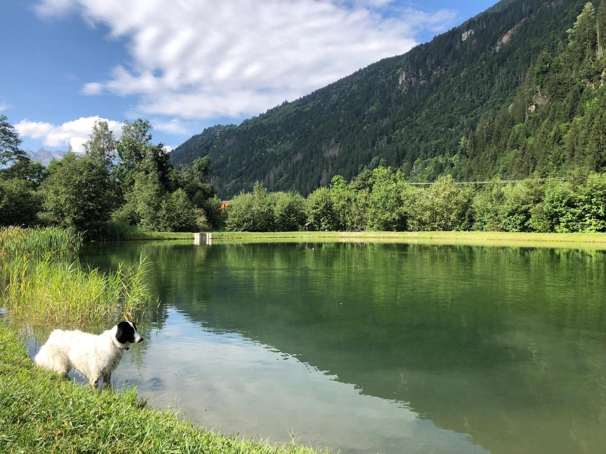 Chalet Riviere Du Bon Nant Location De 6 A 14 Personnes En Haute Savoie Saint-Gervais-les-Bains Ngoại thất bức ảnh