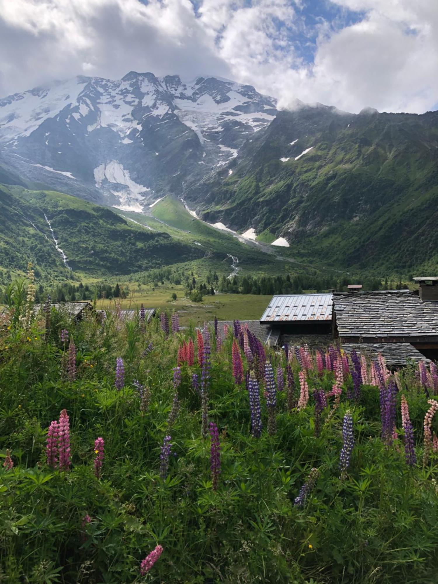 Chalet Riviere Du Bon Nant Location De 6 A 14 Personnes En Haute Savoie Saint-Gervais-les-Bains Ngoại thất bức ảnh